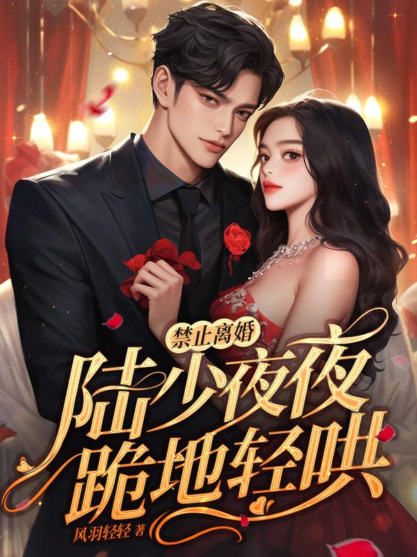 禁止离婚陆少夜夜跪地轻哄完整版听书