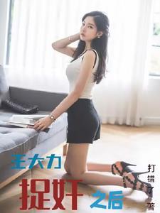 主角是王大力的