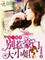 第一宠婚总裁别太坏完整版