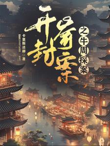 开封奇案24集