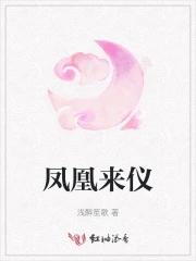 鳯来仪服装