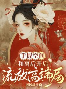 和离后开启流放高端局全文免费
