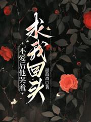 不爱后他哭着求我回头全文免费阅读