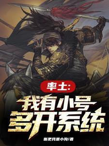 率土之滨怎么多开账号