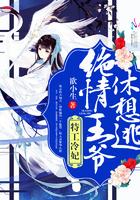 冷情王爷特工王妃