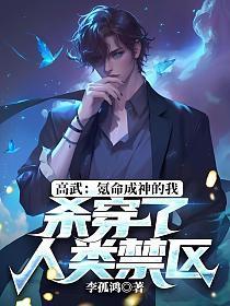 氪金高武