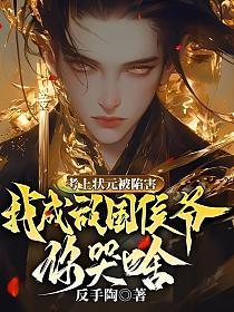 考上状元就回来娶我吧十三至晚