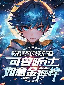 笑我契约烧火棍可曾听过如意金箍棒听书