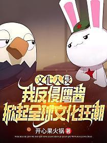 何为文化入侵