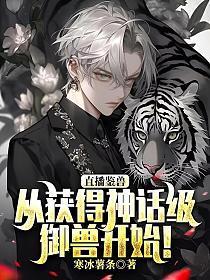 鉴宝直播系统
