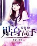 校花之贴身高手等级
