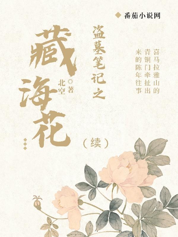 盗墓笔记之藏海花电视剧全集
