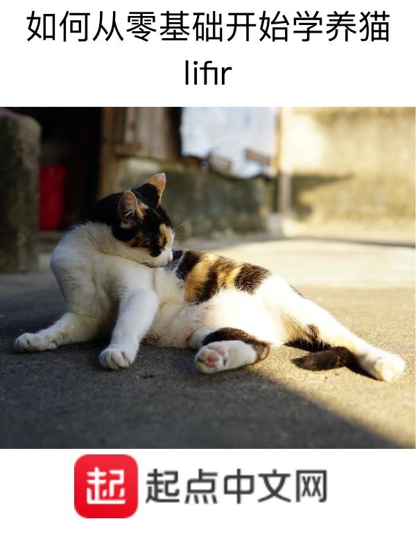 初学者养猫注意事项有哪些?