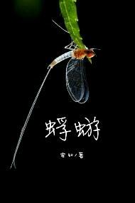 蜉蝣的象征意义