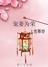 宠妻为上全文免费阅读全文
