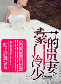 豪门冷少的夜宠