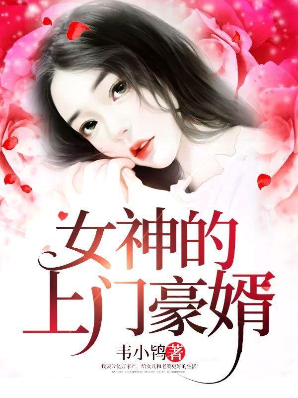 女神的上门豪婿全文阅读