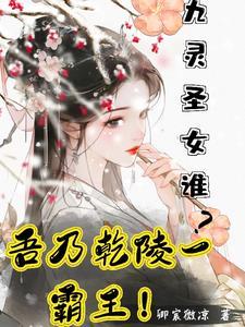 九灵圣石是什么