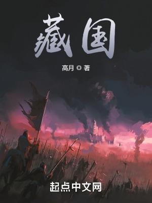 藏国好看吗