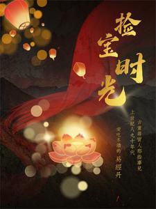 捡宝免费阅读全本