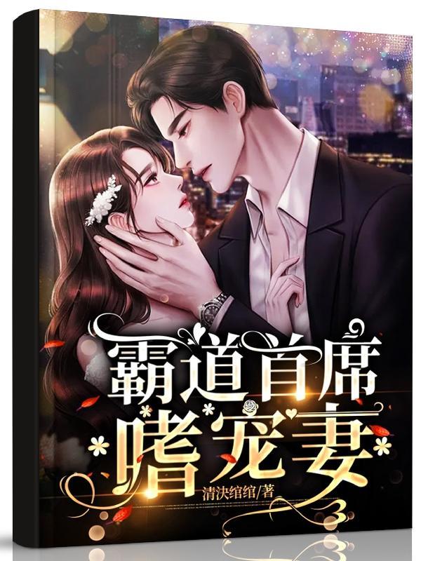 霸道总裁的首席娇妻