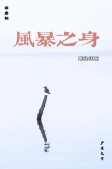 风暴之夜