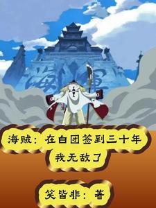 海贼白团长子电子书免费阅读