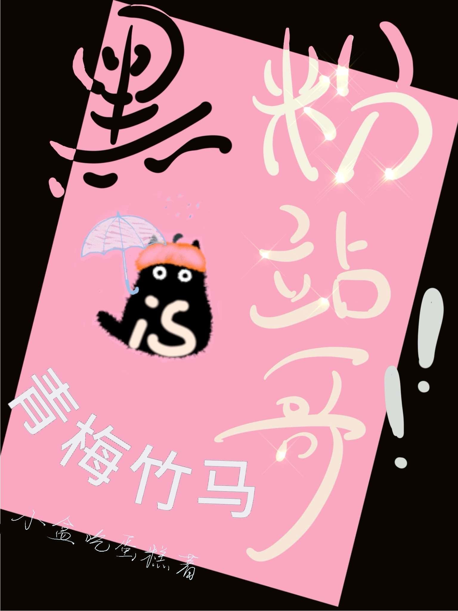 小黑粉是谁的粉丝