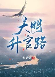 大明官 笔趣阁