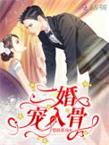 二婚宠入骨冷陌