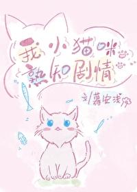 我的小猫儿