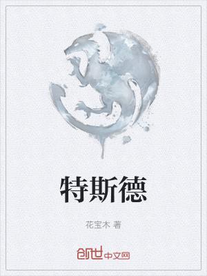 特斯德利公司