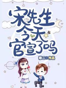 宋先生是什么意思