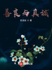 善良与真诚电影